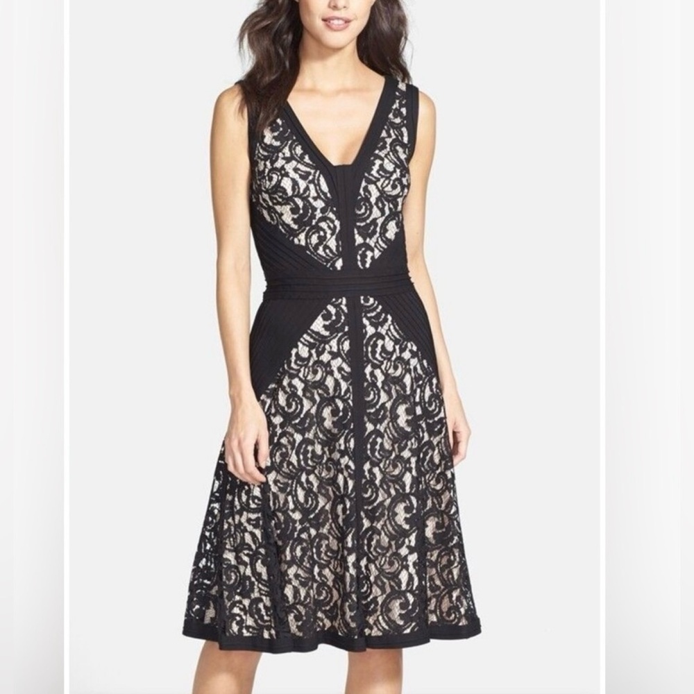 Tadashi Shoji Fit and Flare Black/Blush Stretch Lace Dress Sz 14